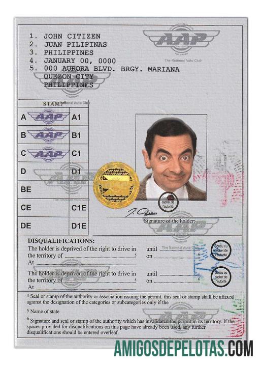 Permissão Internacional para Dirigir das Filipinas (formato da Convenção de Viena) modelo